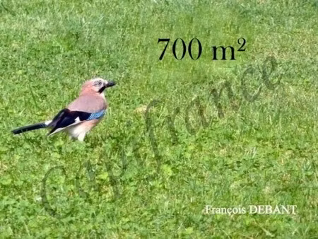 terrain à vendre pontfaverger moronvilliers (51)