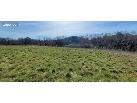 terrain 5 000 m² fox amphoux