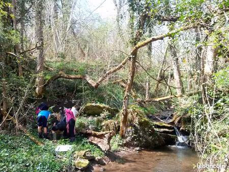 terrain de loisir verger forêt ruisseau