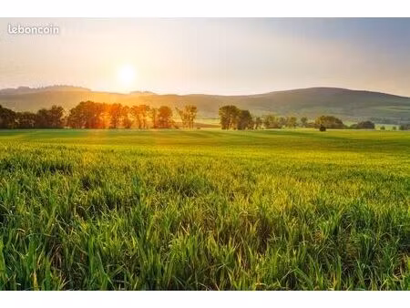 terrain 990 m² rochecorbon