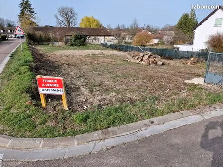 terrain constructible