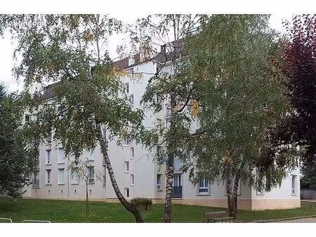 appartement 4 pièces 66 m²