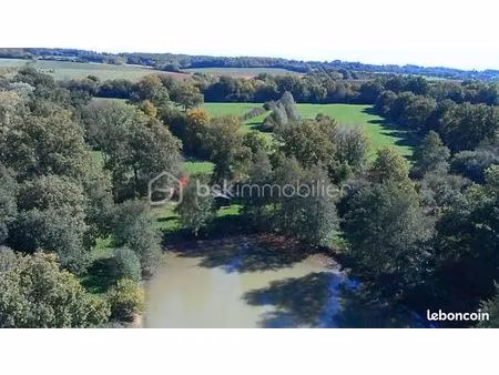 terrain 26 062 m² saint sauveur en puisaye