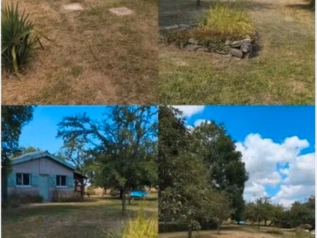 très jolie verger avec petit chalet