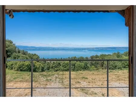 évian-les-bains - ensemble immobilier - vue ultra panoramique sur le léman et la suisse -.