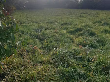 vente maison 3 pièces 215 m² barbezieux-saint-hilaire (16300)