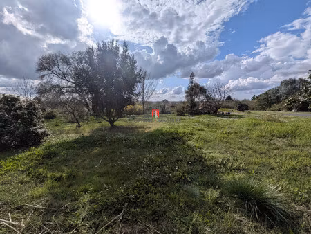 terrain construtible plassac 33390 1084m²