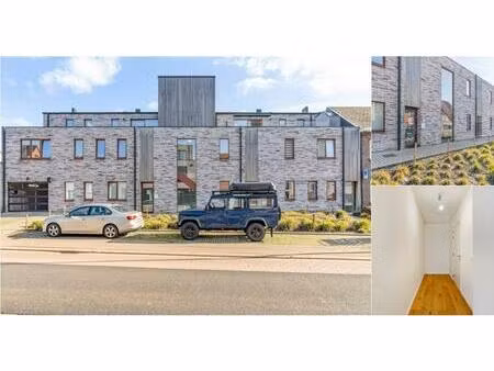 appartement à vendre avec terrasse et jardin   heusden-zolder (rbv43029)