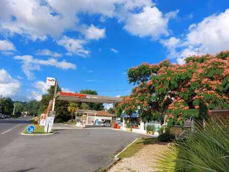 vente local industriel 6 pièces 152 m² eymet (24500)