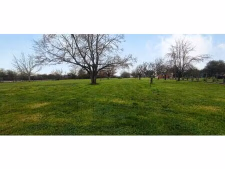 terrain constructible plat arbore