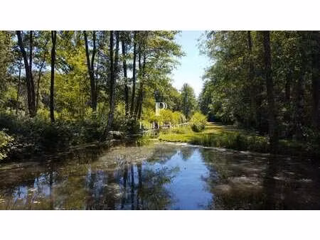 vente maison piscine à argent-sur-sauldre (18410) : à vendre piscine / 835m² argent-sur-sa