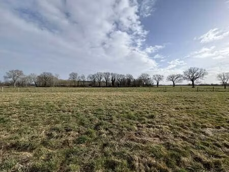 vente terrain 64917 m² tendu (36200)