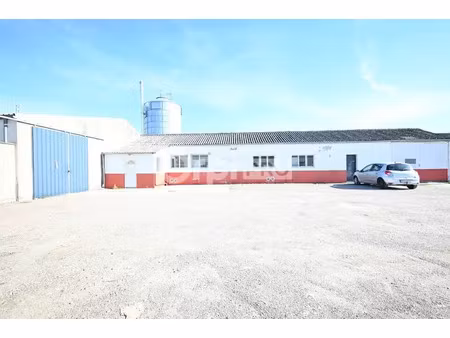 local d'activite a louer