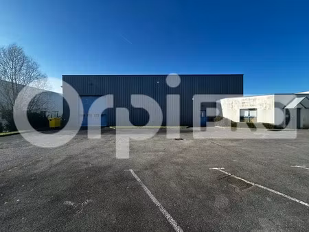 local d'activite a louer