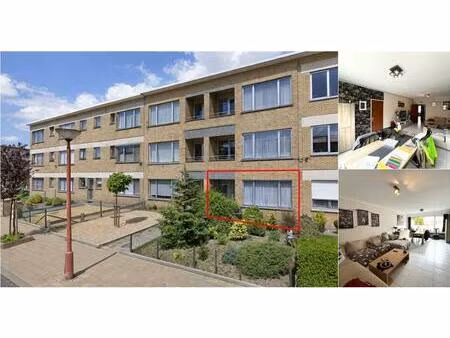 appartement à louer à berkenlaan 8 hoevenen (rbv43544)
