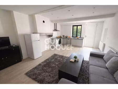 opportunité investisseur - ensemble immobilier de 2 appartements rénovés à la boisse (0112