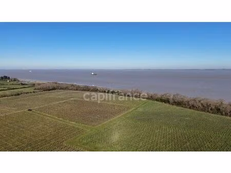 vente maison 1143 m² saint-yzans-de-médoc (33340)