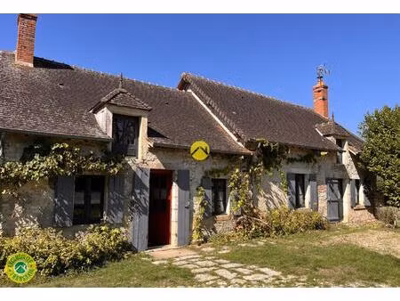 vente maison 7 pièces 205 m² châteauneuf-sur-cher (18190)