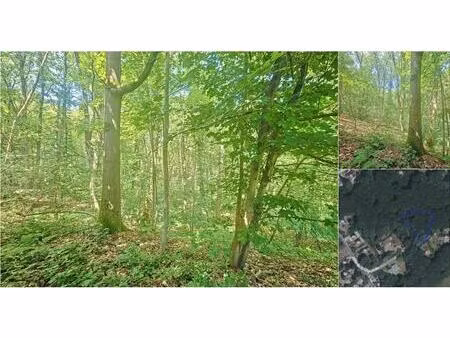 terrain à vendre de 3000 m² à wavre (rbv42914)