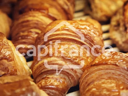 vente commerce 4 pièces 1897 m² ruy-montceau (38300)