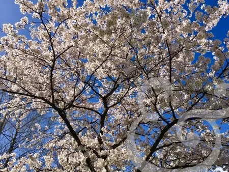 propriété - les baux de provence