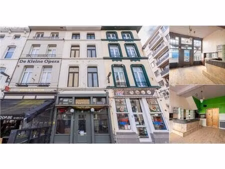 maison à vendre à kipdorpbrug 4 anvers (rbv43327)