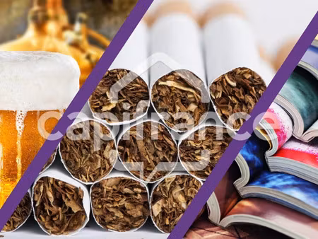 vente commerce 1 pièce 233 m² le temple-sur-lot (47110)