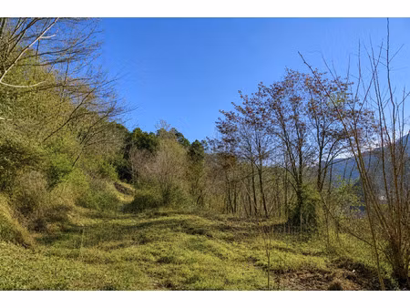 vente terrain 5000 m² le collet-de-dèze (48160)