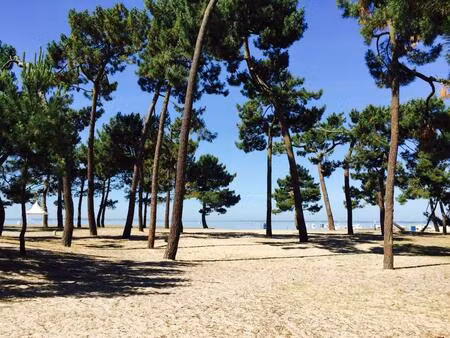 vente terrain à construire 866 m² andernos-les-bains (33510)