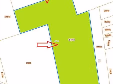 terrain à vendre à beigem (llvzc) - vdw notarissen | zimmo