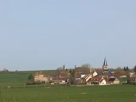château 11 pièces montigny sur canne 58340