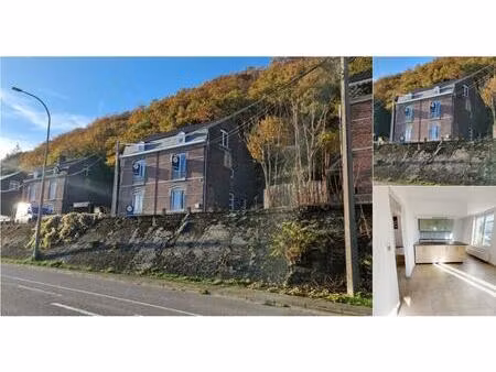 maison à vendre à rue mallieue 226 saint-georges-sur-meuse (vbd96464)