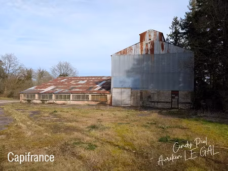 vente local industriel 750 m² lizio (56460)