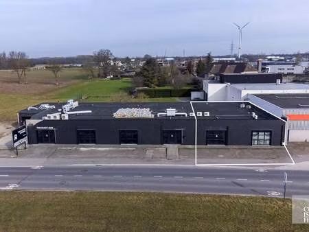 bien professionnel à vendre à opgrimbie € 295.000 (llwrw) - christoffels | zimmo