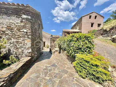 vente maison 14 pièces 285 m² à le vigan (30120)  729 000 €