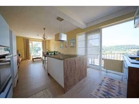 appartement 1 ch avec vue sur meuse!