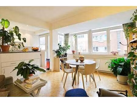 montgomery - bel appartement 2 chambres + terrasse et cave