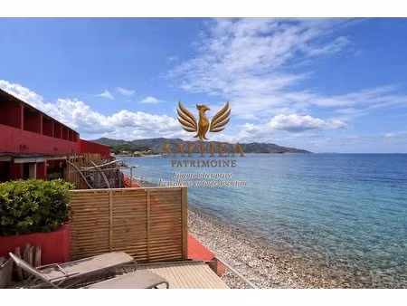 achat : appartement (20217)