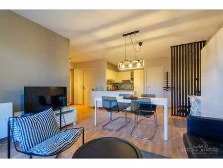 lumineux - appartement meublé 1 chambre avec terrasse