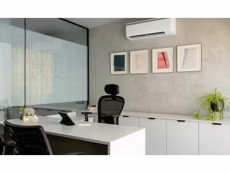 achat local professionnel 365m²