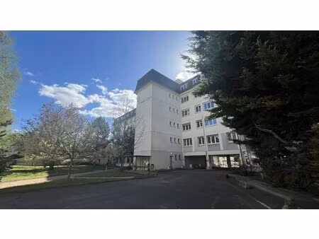 achat local professionnel 815m² orleans 45000