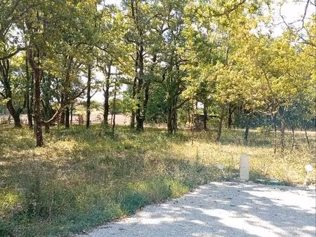 terrain constructible