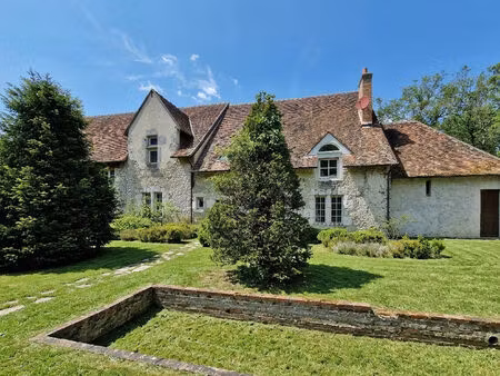 vente maison 12 pièces 300 m² valaire (41120)