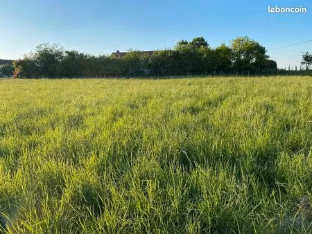1 hectare de terrain et ferme ancienne