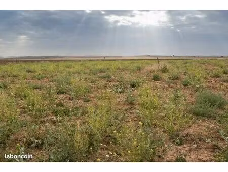 recherche terrain non constructible/agricole