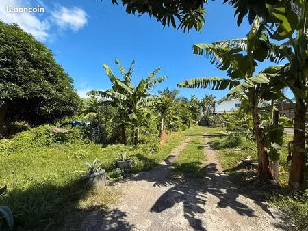 terrain à mayotte (rare)