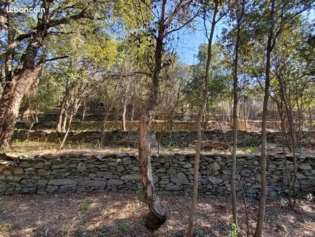 terrain constructible 1469 m² à miomo