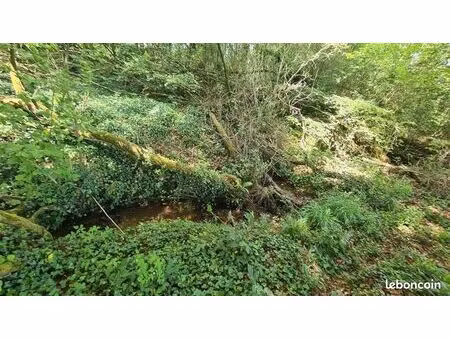 terrain 4 300 m² dinan