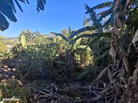 terrain 1005 m² le tampon