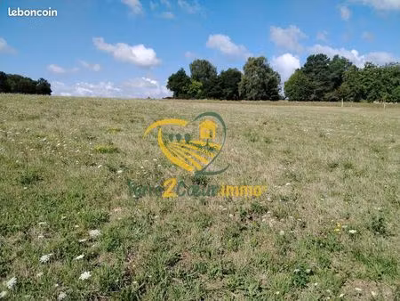 terrain 6234 m² saint-martin-d'auxigny